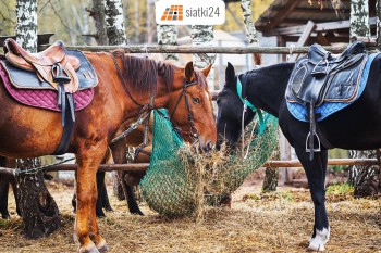 Chojnice Worek na siano — praktyczny i wytrzymały pasznik dla koni Sklep Chojnice